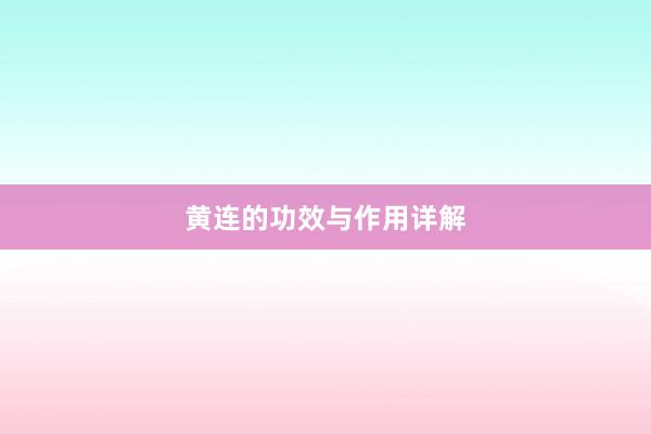 黄连的功效与作用详解